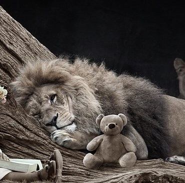 Cuéntame una historia