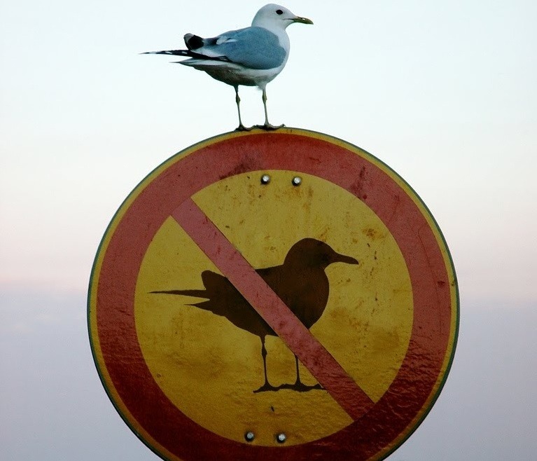 Ironías, sarcasmos y tonos en la medición de intangibles