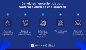 Herramientas para medir la cultura de tu empresa - Dédalo Comunicación